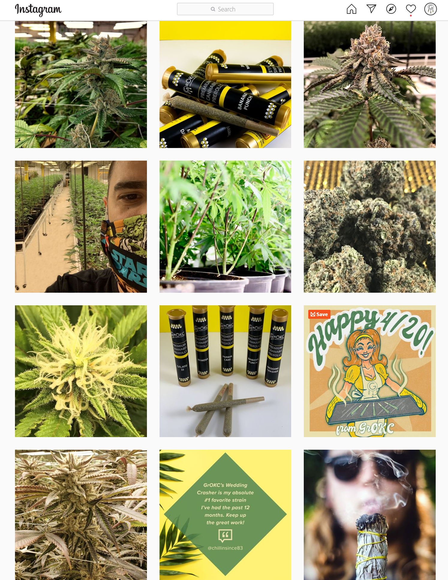 Cannabis Social Media
