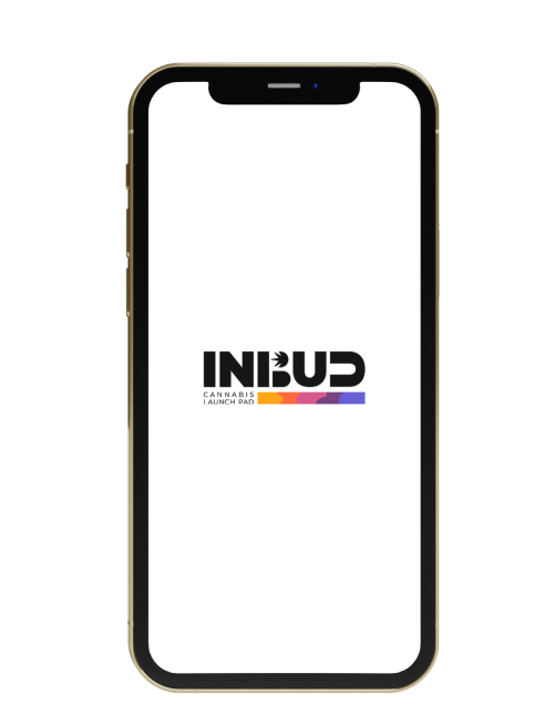 mobile-mock up 1